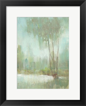 Framed Mist in the Glen II Print