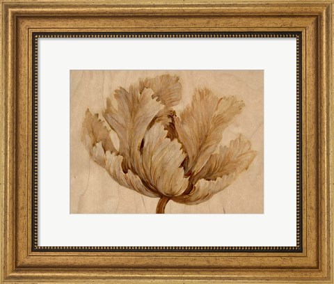 Framed Sepia Tulip on Birch I Print