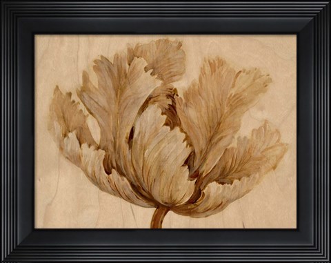 Framed Sepia Tulip on Birch I Print