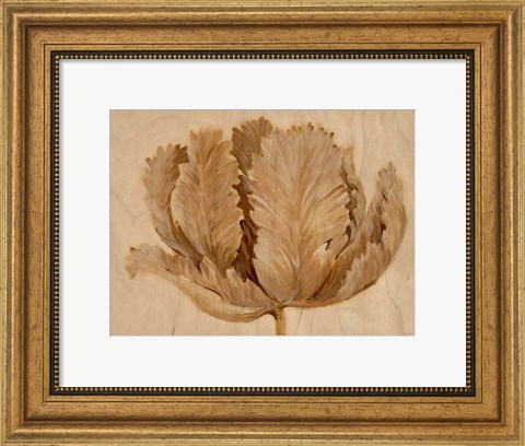 Framed Sepia Tulip on Birch II Print