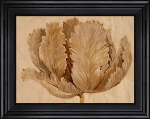 Framed Sepia Tulip on Birch II Print