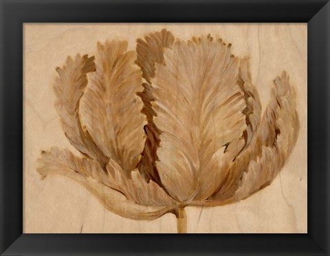 Framed Sepia Tulip on Birch II Print