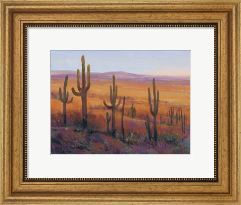 Framed Desert Light I Print
