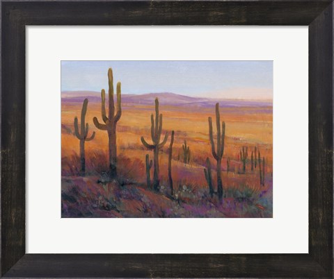 Framed Desert Light I Print