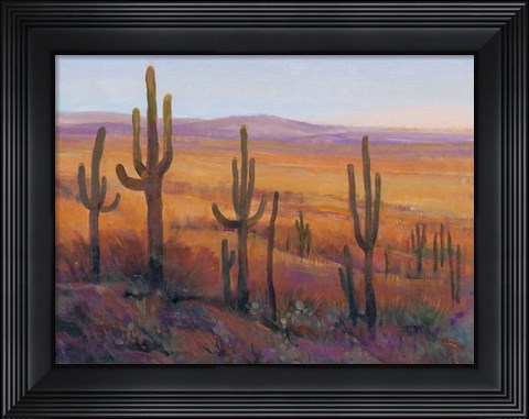 Framed Desert Light I Print