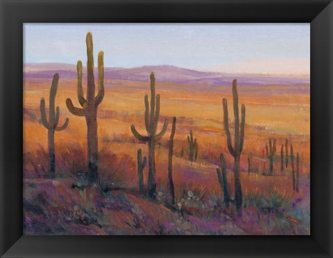 Framed Desert Light I Print