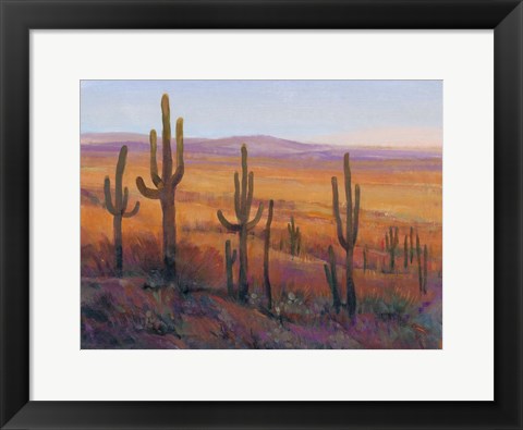 Framed Desert Light I Print