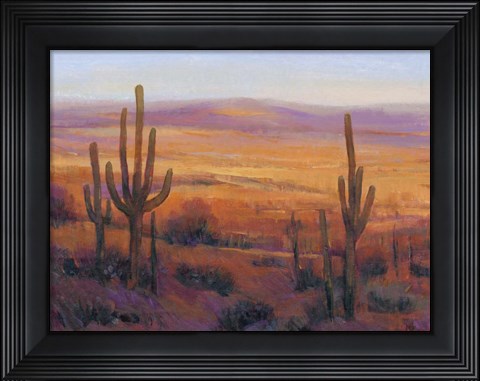 Framed Desert Light II Print