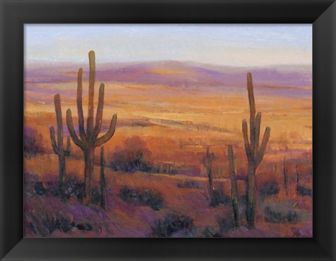 Framed Desert Light II Print