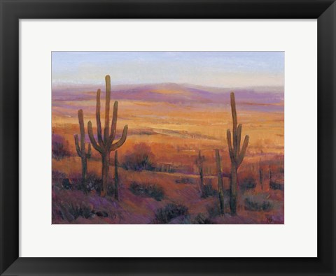 Framed Desert Light II Print