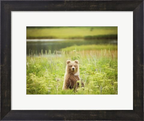 Framed Bear Life VII Print