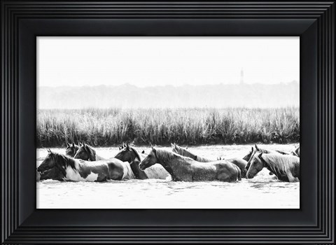 Framed Water Horses III Print