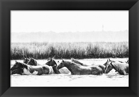 Framed Water Horses III Print