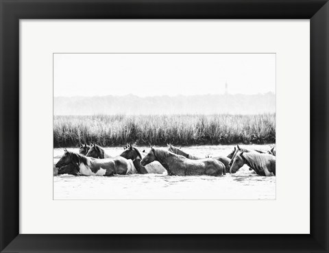 Framed Water Horses III Print