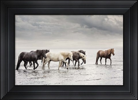 Framed Water Horses IV Print