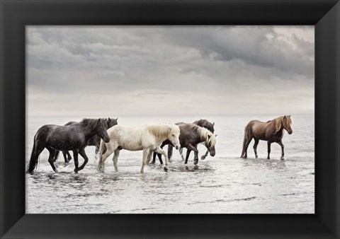 Framed Water Horses IV Print