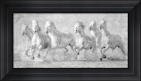 Framed Water Horses V Print
