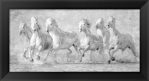 Framed Water Horses V Print