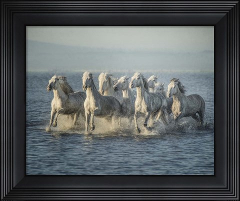 Framed Water Horses VI Print