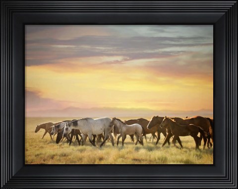 Framed Sunkissed Horses I Print