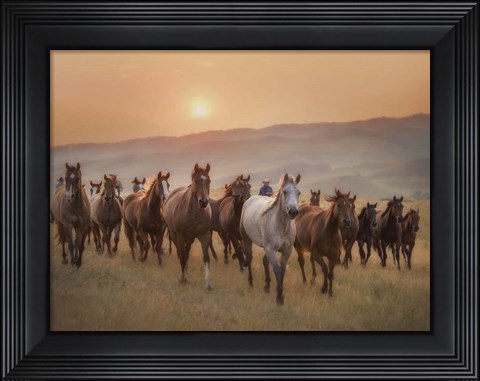 Framed Sunkissed Horses II Print