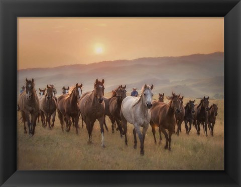 Framed Sunkissed Horses II Print