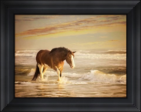 Framed Sunkissed Horses V Print