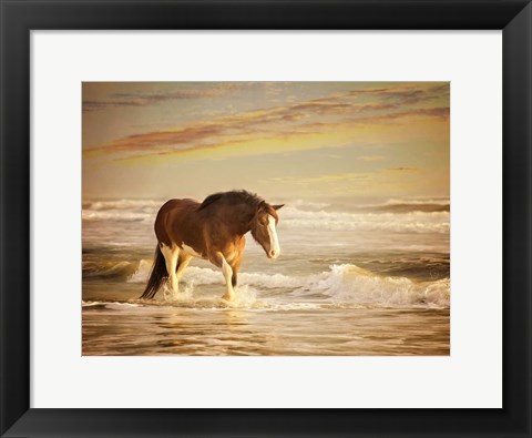 Framed Sunkissed Horses V Print