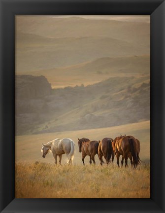 Framed Sunkissed Horses VI Print