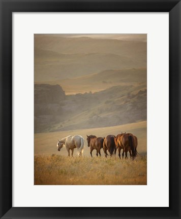 Framed Sunkissed Horses VI Print