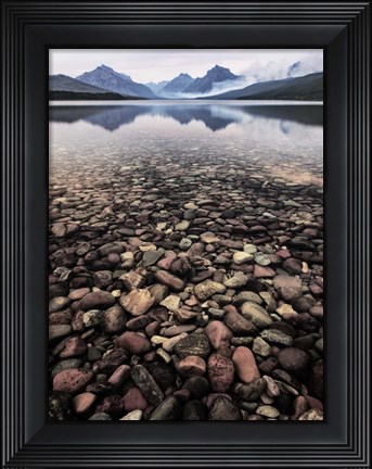 Framed Wild I Print