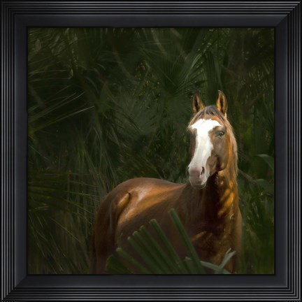 Framed Wild II Print