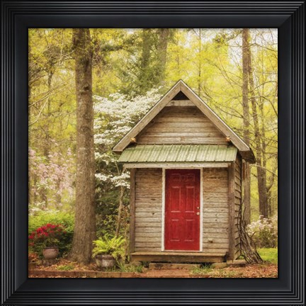 Framed Wild IV Print