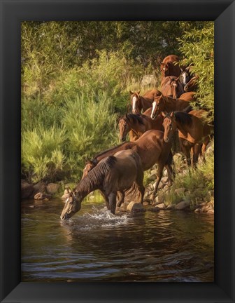 Framed River Horses I Print