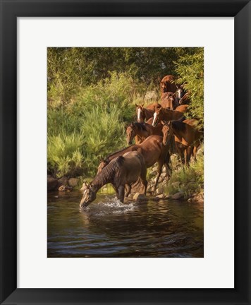 Framed River Horses I Print