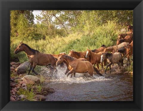 Framed River Horses II Print