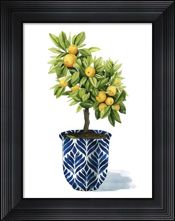 Framed Fruit Tree I Print