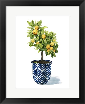 Framed Fruit Tree I Print