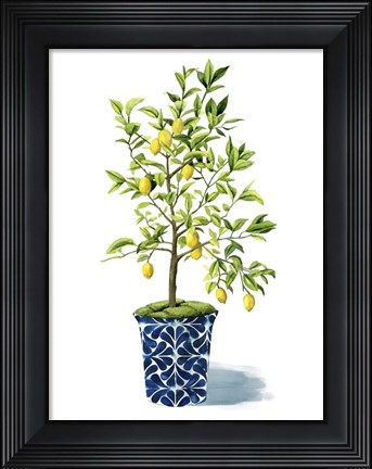 Framed Fruit Tree II Print