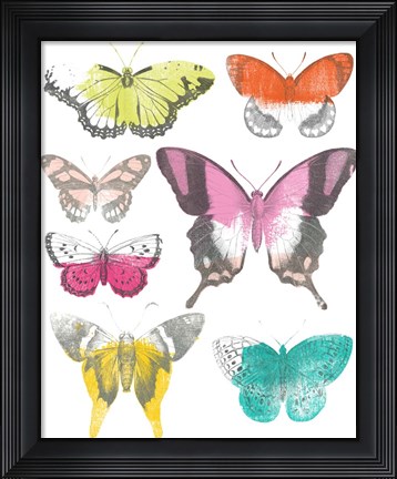 Framed Chromatic Butterflies II Print