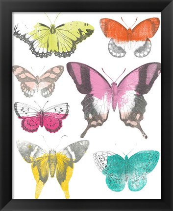Framed Chromatic Butterflies II Print