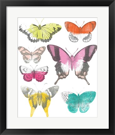 Framed Chromatic Butterflies II Print