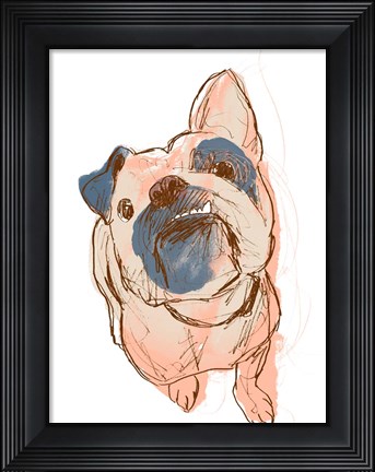 Framed Dog Portrait--Bobo Print