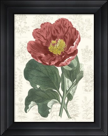 Framed Peony Flower Garden I Print