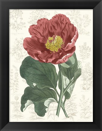 Framed Peony Flower Garden I Print