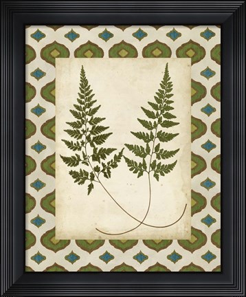Framed Moroccan Ferns I Print