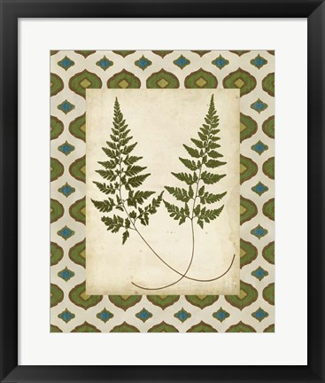 Framed Moroccan Ferns I Print