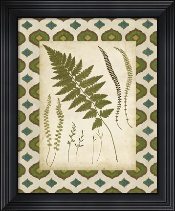 Framed Moroccan Ferns II Print