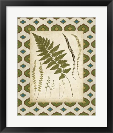 Framed Moroccan Ferns II Print