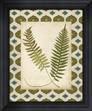 Framed Moroccan Ferns III Print